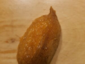 Nigiri Tofu